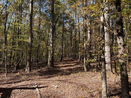 Recreational Property for sale in Pike County, Georgia