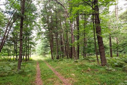 Ranch Property for sale in Marinette County, Wisconsin
