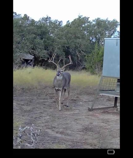 Property for sale in Mills County, Texas