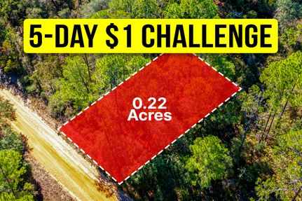 Undeveloped Land for sale in Putnam County, Florida