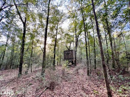 Horse Property for sale in Mobile County, Alabama