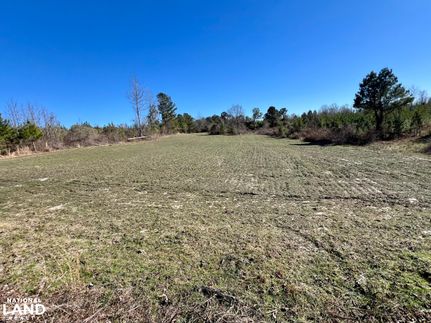 Property for sale in Choctaw County, Alabama