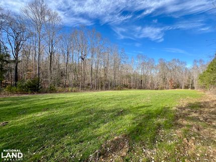 Hunting Land for sale in Clarke County, Alabama