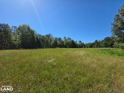 Timberland Property for sale in Marion County, Alabama