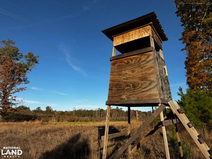 Property for sale in Mecklenburg County, Virginia