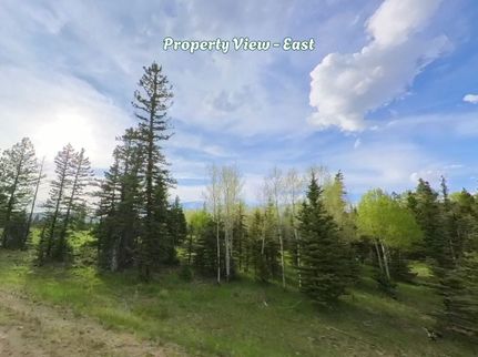 Residential Property for sale in Colfax County, New Mexico