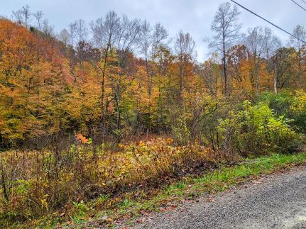 Farm Property for sale in Campbell County, Tennessee