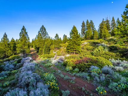 Recreational Property for sale in Modoc County, California