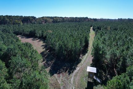 Property for sale in Williamsburg County, South Carolina