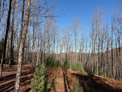 Hunting Land for sale in Warren County, New York