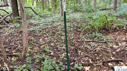 Ranch Property for sale in Le Sueur County, Minnesota