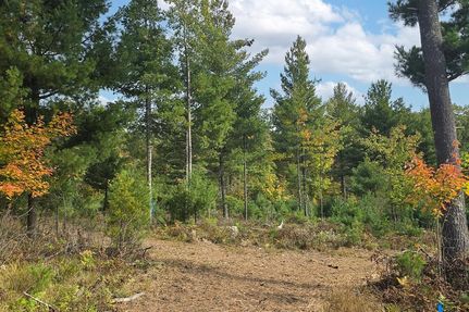 Property for sale in Bayfield County, Wisconsin