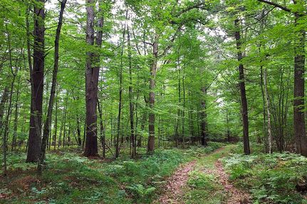 Property for sale in Marinette County, Wisconsin