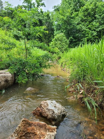 Property for sale in Izard County, Arkansas