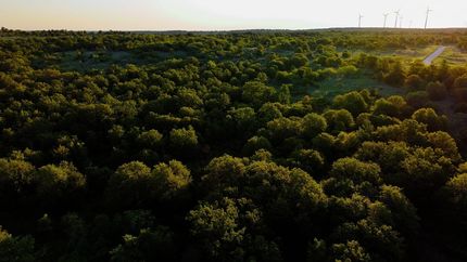 Timberland Property for sale in Jack County, Texas