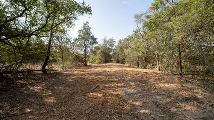 Property for sale in Bastrop County, Texas