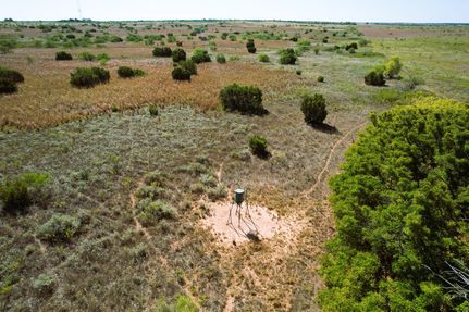 Farm Property in Cottle County, Texas
