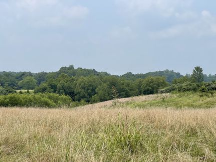 Residential Property in Union County, Illinois