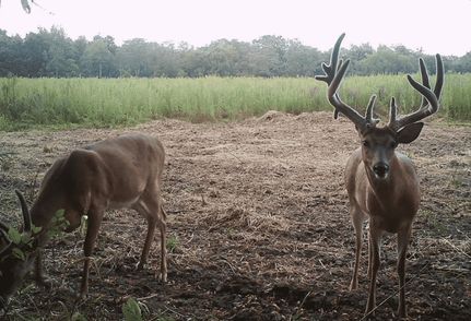 Farm Property in Jefferson County, Illinois