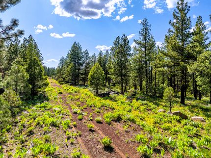 Farm Property for sale in Modoc County, California
