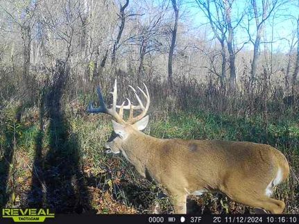 Farm Property for sale in Effingham County, Illinois