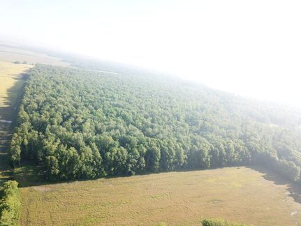 Ranch Property for sale in Wayne County, Illinois