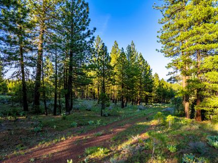 Residential Property for sale in Modoc County, California