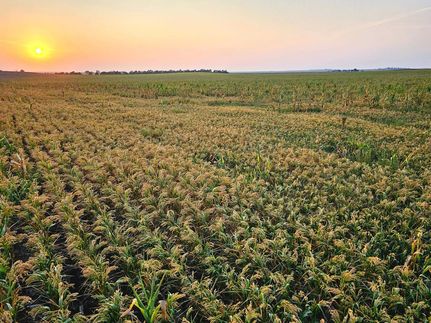 Ranch Property for sale in Cheyenne County, Nebraska