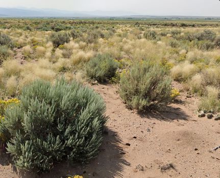 Recreational Property for sale in Costilla County, Colorado