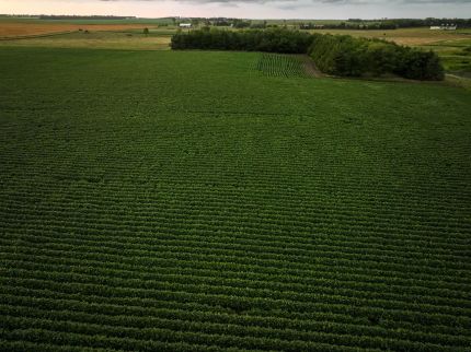 Horse Property for sale in Douglas County, South Dakota