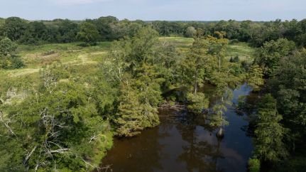 Property for sale in Leake County, Mississippi