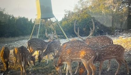 Residential Property for sale in Sutton County, Texas