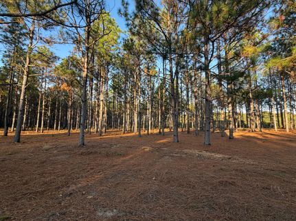 Property for sale in Pike County, Alabama