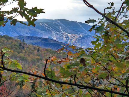 Residential Property for sale in Oxford County, Maine