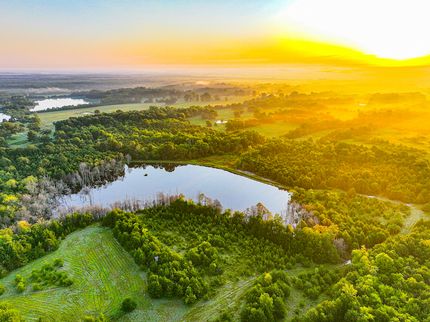 Timberland Property for sale in Clay County, Mississippi