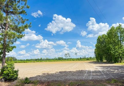 Farm Property for sale in Marion County, South Carolina