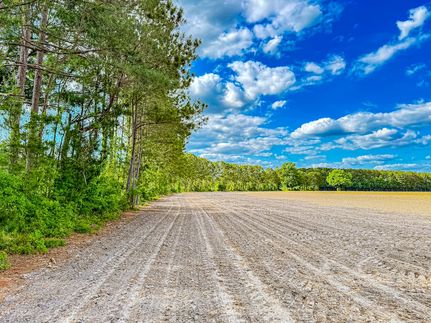 Farm Property for sale in Marion County, South Carolina