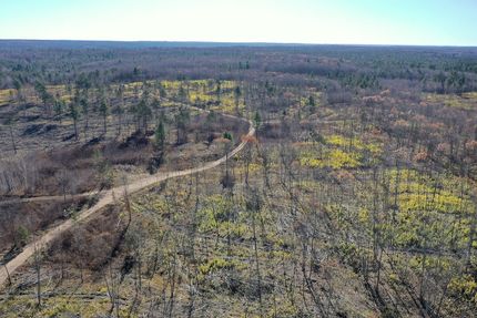 Undeveloped Land for sale in Sawyer County, Wisconsin