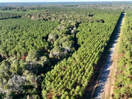 Property for sale in Wilcox County, Georgia