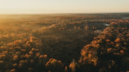 Property for sale in Spotsylvania County, Virginia