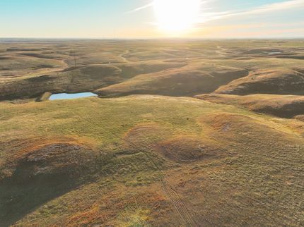 Hunting Land for sale in Ellis County, Kansas