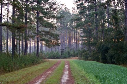 Recreational Property for sale in Hampton County, South Carolina