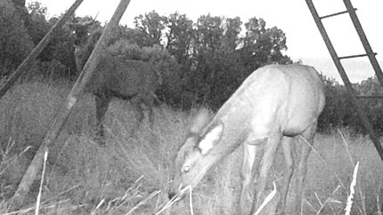 Farm Property for sale in Edwards County, Texas