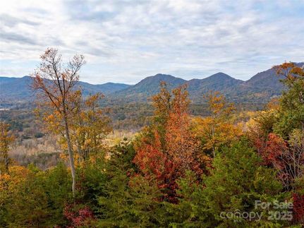 Property for sale in Polk County, North Carolina