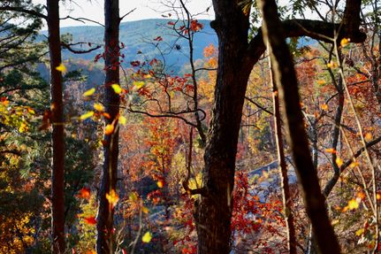 Commercial Property for sale in Le Flore County, Oklahoma