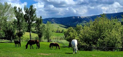 Property for sale in Sheridan County, Wyoming