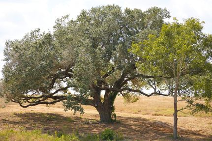 Residential Property for sale in Fayette County, Texas