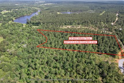 Timberland Property for sale in Tyler County, Texas
