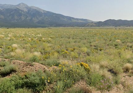 Undeveloped Land for sale in Costilla County, Colorado