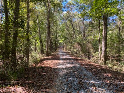 Timberland Property for sale in Monroe County, Georgia